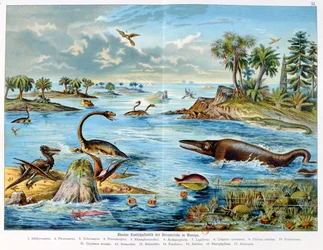 Prehistorie - Jura - reconstructie van de natuurlijke omgeving in Europa en enkele dieren uit deze periode, 1886