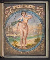 Tabellen die de mens in drie verschillende staten vertegenwoordigen