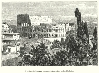 Het Colosseum, Rome, gezien vanaf de Palatijn