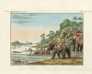Tijgerjacht op een Indiase rivier