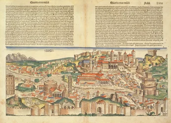 Uitzicht op de stad Rome, uit de Neurenberg Kroniek door Hartmann Schedel (1440-1514) 1493