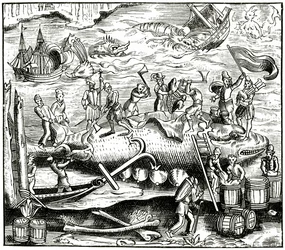Walvisvangst, naar een houtsnede in Cosmographie Universelle van Munster, gepubliceerd 1552