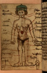Zodiac diagram dat de positie van het hart toont, uit een verzameling gebeden en astrologische figuren
