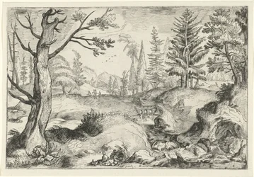Landschap met beekje