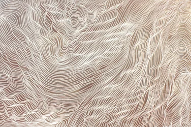Journey 298, 2010 (zand en acryl op doek)