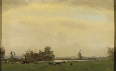 Weidelandschap aan de Spaarne