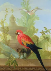Een ara en een duif in een sierlijke tuin, 1772