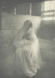 De kribbe, 1899