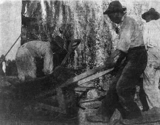 Drie arbeiders. Foto van drie Afro-Amerikaanse arbeiders aan het werk. (ca. 1900)