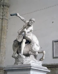 Hercules doodt de centaur