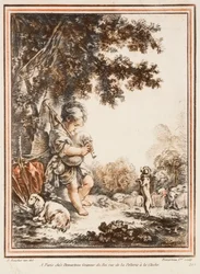 Pastoraal landschap
