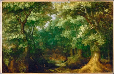 Bosrijk landschap