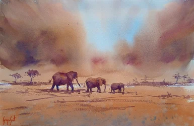 Reis van een Afrikaanse olifant
