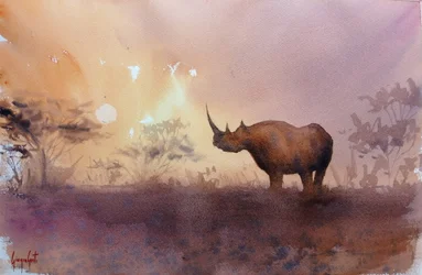 Afrikaanse neushoorn bij zonsondergang