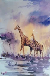 Afrikaanse giraffen bij zonsondergang
