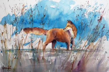 Alert Fox in Reeds