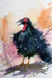 Roepende zwarte vogel