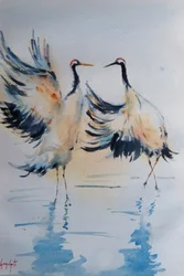 Dansende kraanvogels Water