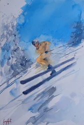 Dynamische winterskiër