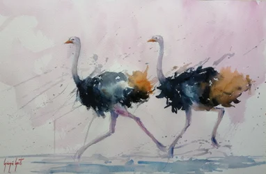 De sierlijke struisvogelpas
