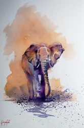 De majestueuze Afrikaanse olifant