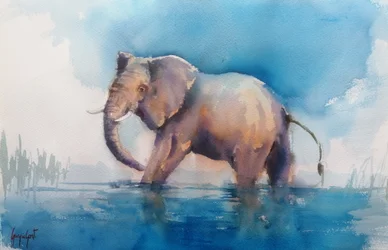 Majestueuze olifant waadt