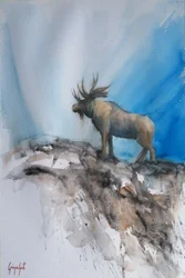 De majestueuze Moose Mountain