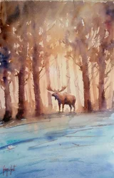 Het majestueuze elandenbos in de winter
