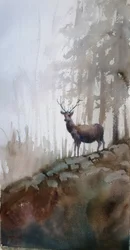 Hert in het mistige bos