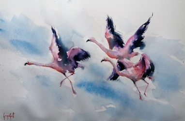 Roze flamingo’s in volle vlucht