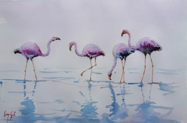 Roze flamingo’s waden