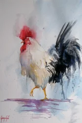 Trotse haan - aquarel