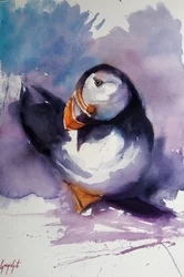 Portret van een paarse papegaaiduiker