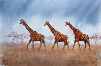 Safari-giraffentrio