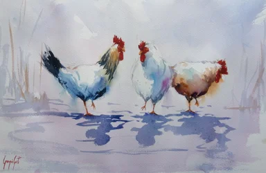 Drie kippen