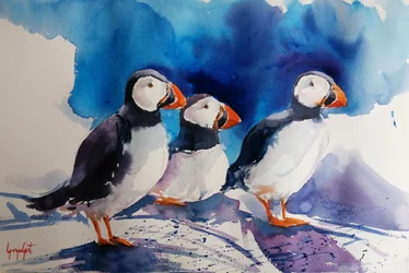 Drie papegaaiduikers in aquarel