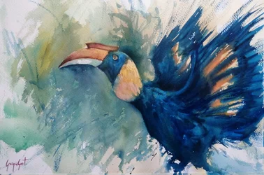 Tropische blauwe neushoornvogel