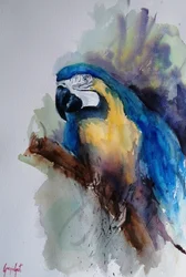 Levendig portret van een ara