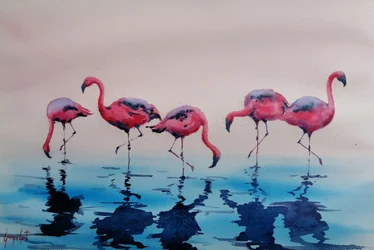 Wadende roze flamingo’s