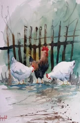 Aquarelkippen op de boerderij