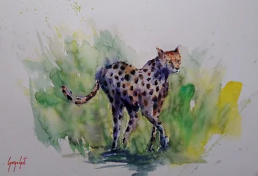 Aquarel: Wilde cheeta
