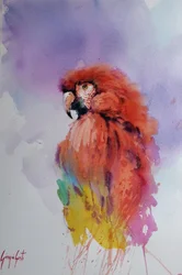 papegaai 2