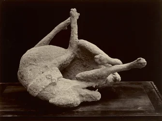 Hond, Pompeii