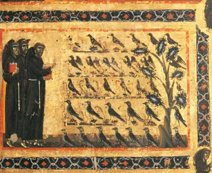 Verhalen van Sint Franciscus: Sint Franciscus predikt tot de vogels, fresco door Giotto, ca 1325. Bardi-kapel van Vernio, Basiliek van Santa Croce, Florence, Italië