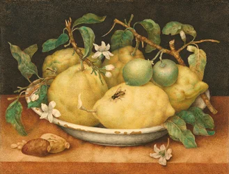 Stilleven met een Kom Citroenen, c.1640