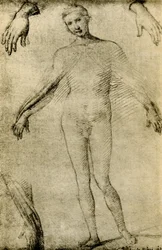 Modelstudie voor een Maagd Maria als mater misericordiae