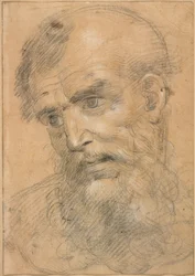 Kop van een man met baard (recto); Studie voor een sacra conversazione (verso)