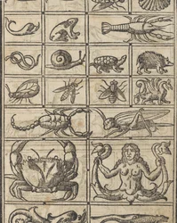 Essempio di recammi, pagina 11 recto