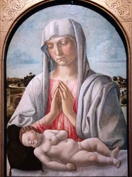 Madonna die het slapende kind aanbidt