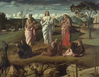 De gedaanteverandering, 1485